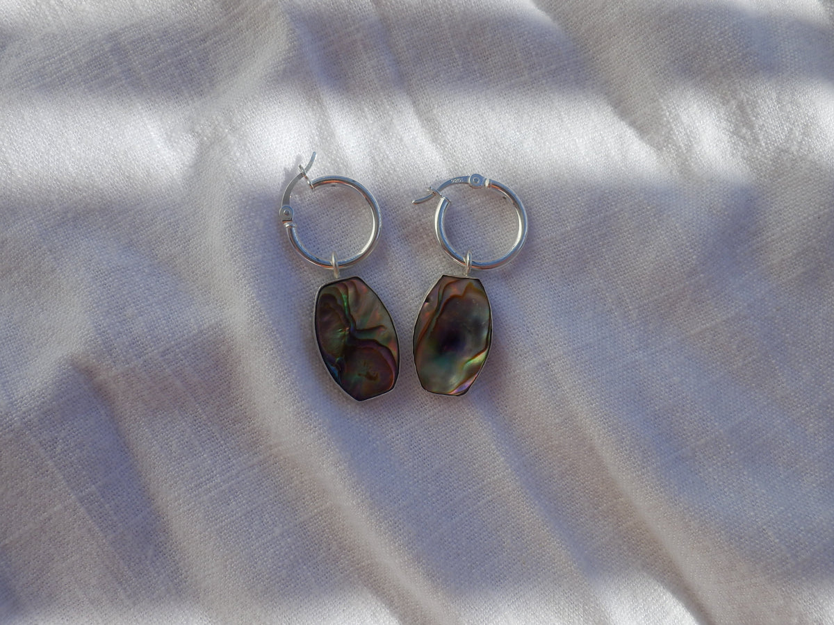 Abalone shells